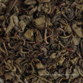 China green gunpowder tea